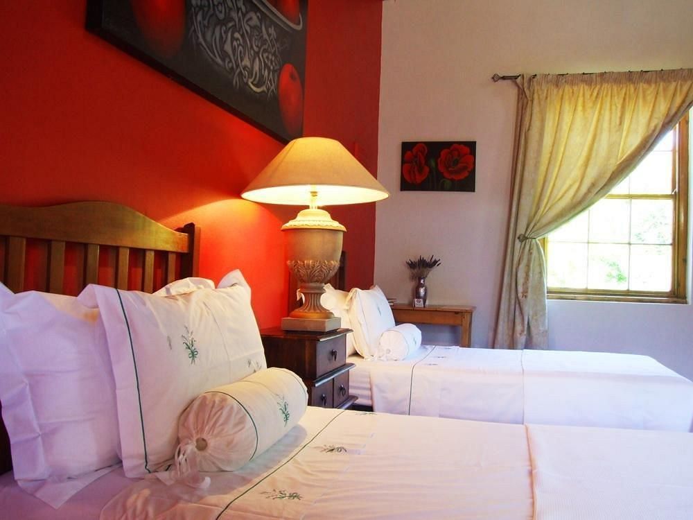 7 Church Street Guest House مونتاغو المظهر الخارجي الصورة